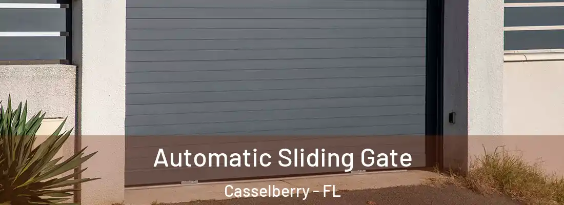  Automatic Sliding Gate Casselberry - FL