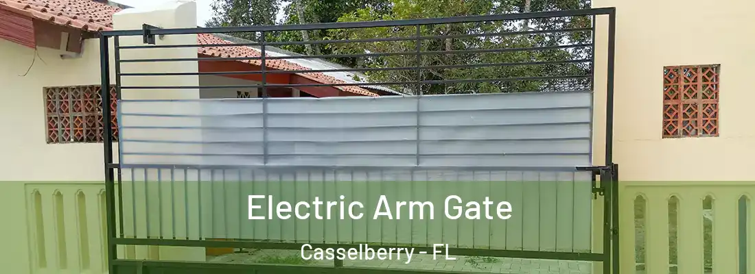  Electric Arm Gate Casselberry - FL