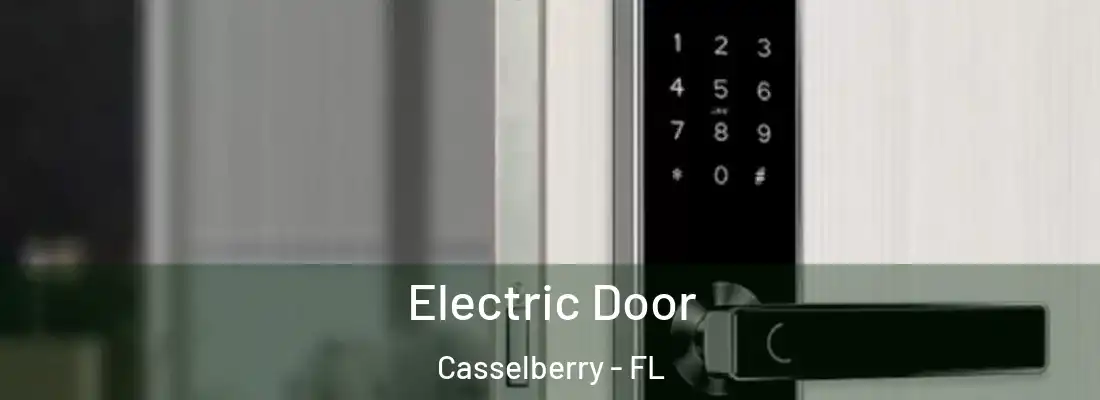  Electric Door Casselberry - FL