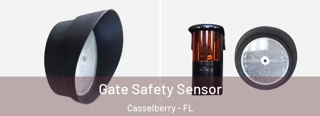  Gate Safety Sensor Casselberry - FL